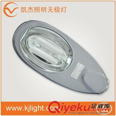 专业生产 低频无极灯 道路照明灯VE_SL_8212/80W图片|专业生产 低频无极灯 道路照明灯VE_SL_8212/80W产品图片由广州凯杰照明器具公司生产提供-